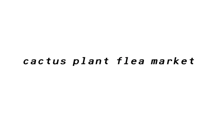 米国発のファッションブランド<br>「CACTUS PLANT FLEA MARKET」<br>とCreator Projectsをスタート